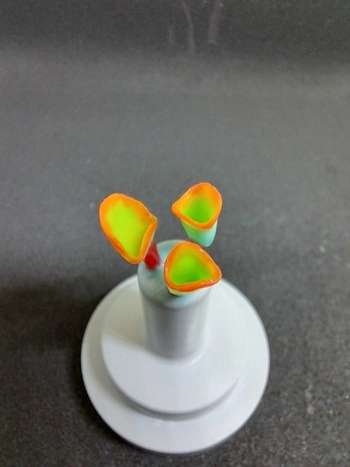 skenirate ne nic hudega